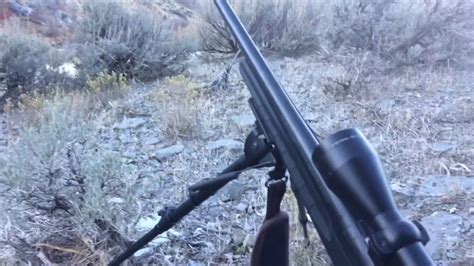 Utah coyote hunt - YouTube