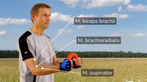 Theraband flexbar exercises - forearm training for tennis players, climbers, rowers and golfers ...