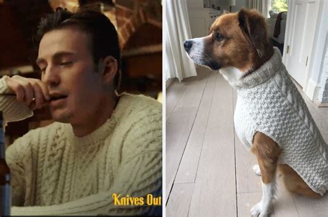 Chris Evans Dressed His Dog In His Cable Knit Sweater From "Knives Out"