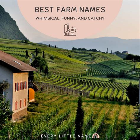 120+ Best Farm Names (Whimsical, Funny, and Catchy) - Every Little Name