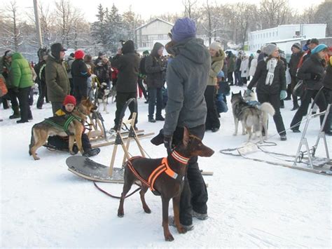 How it was: the first Winter Fest was held in Kharkiv | The Kharkiv Times