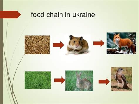 Endangered species in ukraine