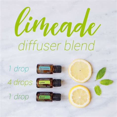 Nothing beats this Limeade Diffuser Blend for the perfect summer aroma ...