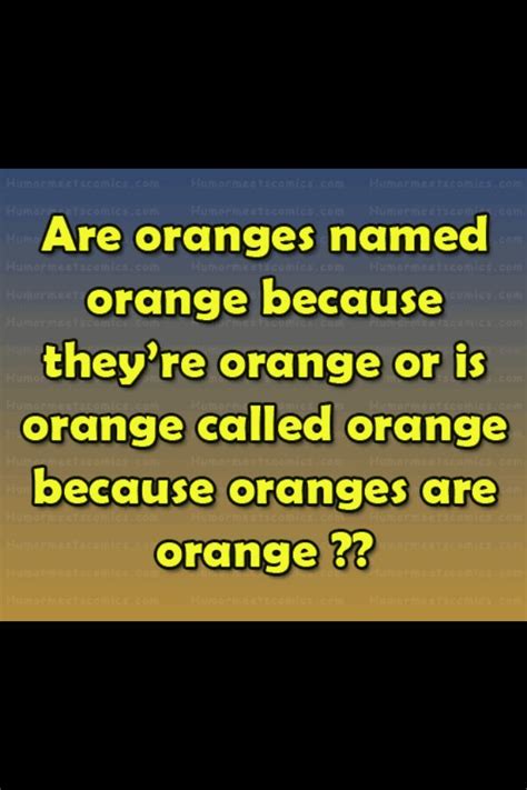 I think oranges are named orange because oranges are orange | Funny ...