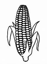 Free Printable Corn Coloring Pages  sketch template