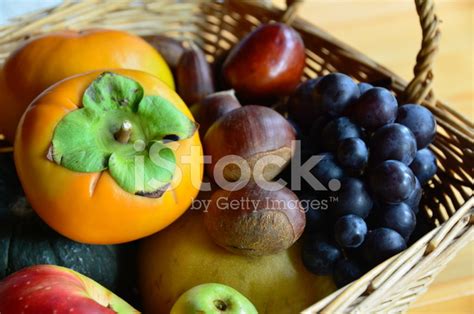 Autumn Fruits In Basket Stock Photo | Royalty-Free | FreeImages