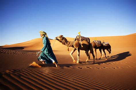 sand, 4K, men, camels, shadow, National Geographic, nature, animals, sand dunes, clear sky ...