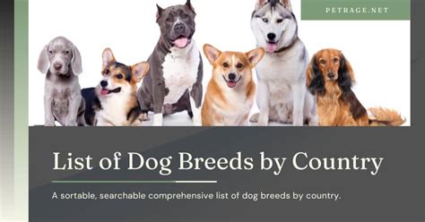 List of Dog Breeds by Country-500+ Different Breeds