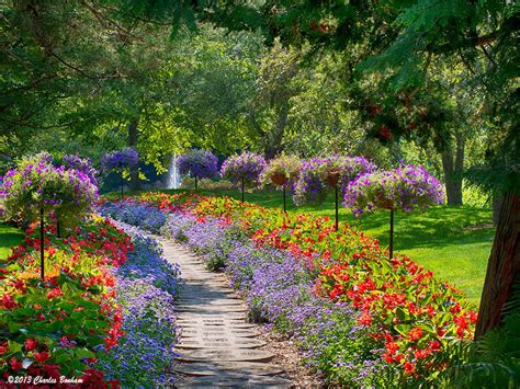 Dow Gardens, Pathway lined with flowers, Midland, MI - Photographer ...