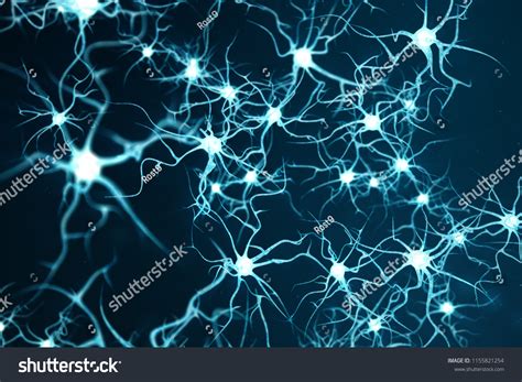 2,372 Synaptic Connections Images, Stock Photos & Vectors | Shutterstock