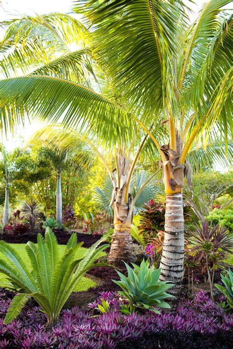 Best Small Palm Trees For Landscaping