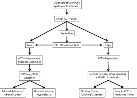 Cushing's Syndrome | Columbia Surgery