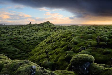 Eldhraun Lava Field | Eldhraun, Southern Iceland