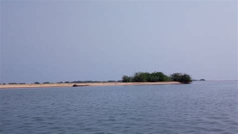 Pulicat Lake | 2023 Tickets & Tours - Tripadvisor