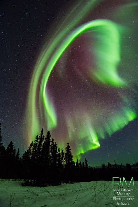 Auroras | Northern lights, Alaska travel, Places in america