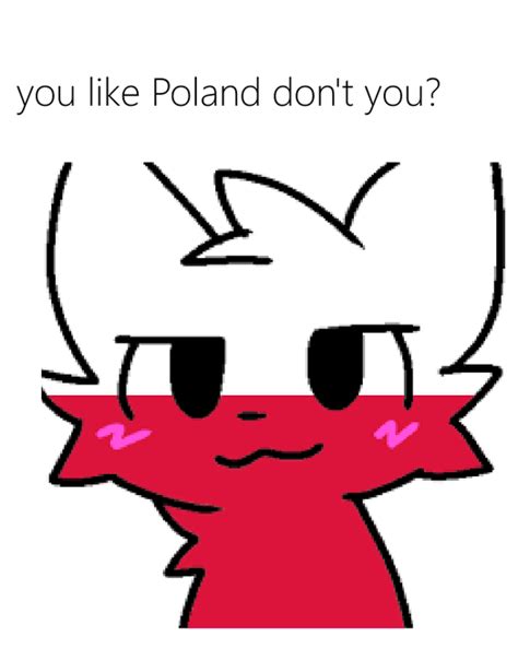 Made a Poland Boykisser meme out of boredom : r/boykisser