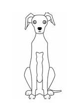 Italian Greyhound Coloring Page Free Printable Sketch sketch template