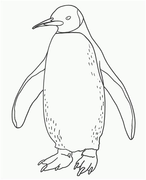 The Pebble And The Penguin Coloring Pages - FREE COLORING PAGES