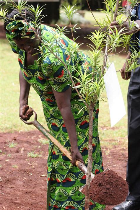 Feeling The Sun - Visions of Our Bright Future: Wangari Maathai, Nobel ...