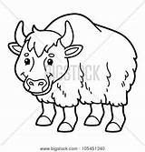 Yak Coloring Pages  Learny Kids sketch template