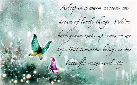 Butterfly Quotes - Butterfly Pictures