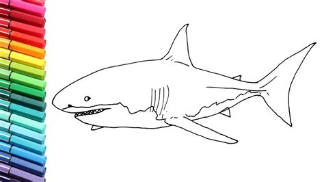 How to Draw Great White Shark - Drawing and Coloring Animals From the Sea For Children - YouTube