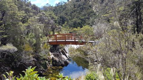 The Heaphy Track Great Walks - Tinytramper