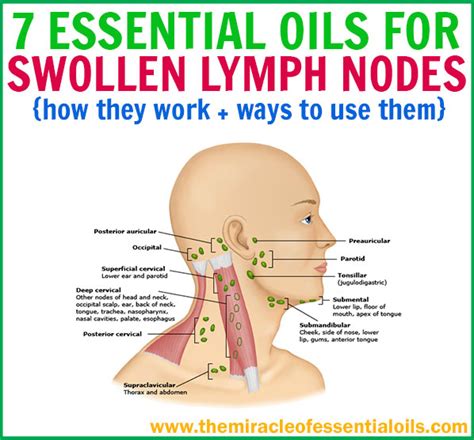 Best Essential Oils for Lymph Node Swelling - The Miracle of Essential Oils