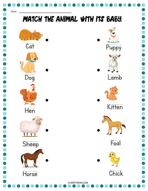 Animals And Their Babies Worksheets {Free 10 Page PDF}