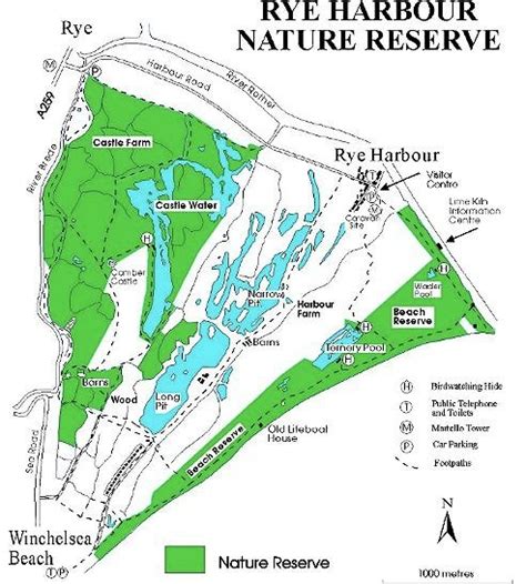 Rye Harbour Nature Reserve - BirdForum Opus | BirdForum