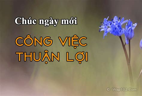 Tải 24+ Hình Ảnh Chúc Ngày Mới Tốt Lành, Vui Vẻ May Mắn