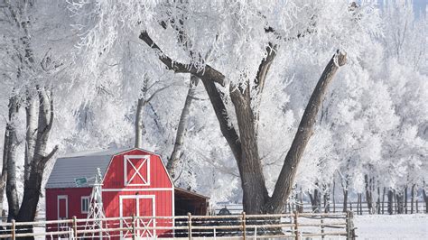 Fort Collins weather: Consistent snow in February sets records