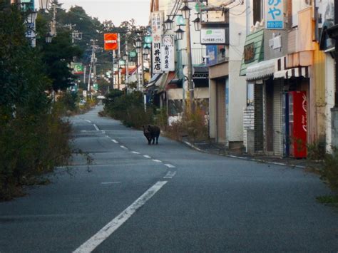 This Is What It's Like to Tour Inside the Fukushima Exclusion Zone ...