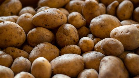 Everything You Need To Know About Russet Potatoes