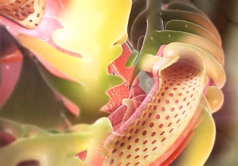 Biological Animation of Cellular Structures - Trinity Animation | Blog