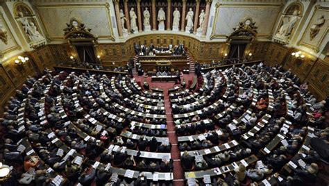 French Senate effectively kills controversial nationality law | ConstitutionNet