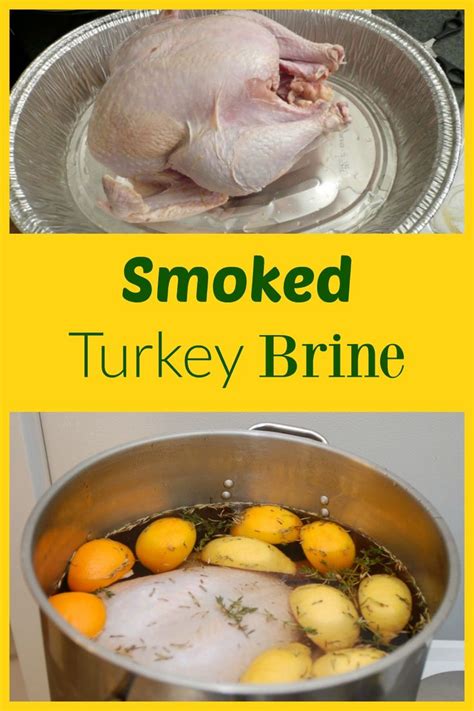 Smoked Turkey Brine Recipes - Mastering the Flame | Diy food recipes ...