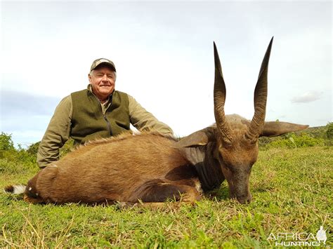 Bushbuck Hunting South Africa | AfricaHunting.com