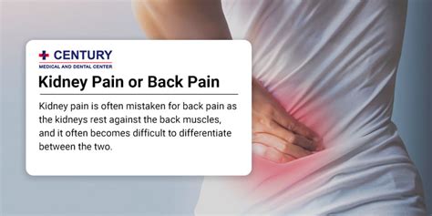 How To Tell If Its Kidney Pain Or Back Pain - Century Medical & Dental ...