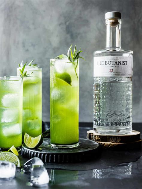 24 Gin and Tonic Recipes that Transform the Classic - An Unblurred Lady