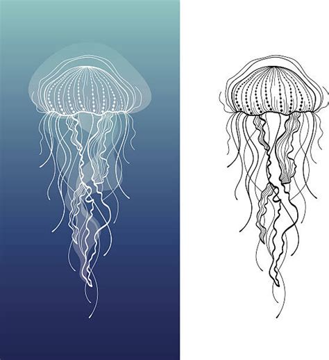 Jellyfish Illustrations, Royalty-Free Vector Graphics & Clip Art - iStock