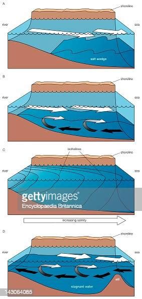 Four Main Types Of Estuaries: A) Salt Wedge Estuary, B) Partially Mixed ...