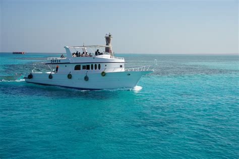 Hurghada snorkeling tour and dolphin house trip – Tigrest Travel Blog