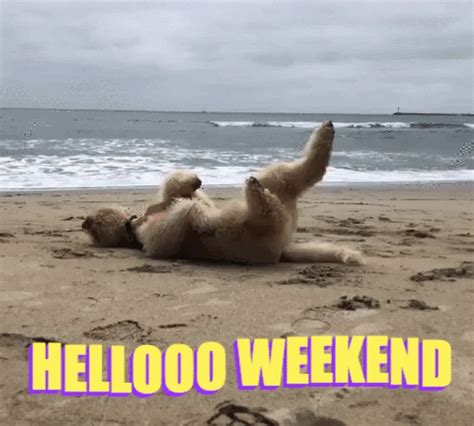 Hello Weekend GIFs - Get the best GIF on GIPHY