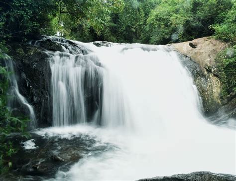 900 Kandi Wayanad Wild Jeep Ride, Stay & Waterfall Trekking