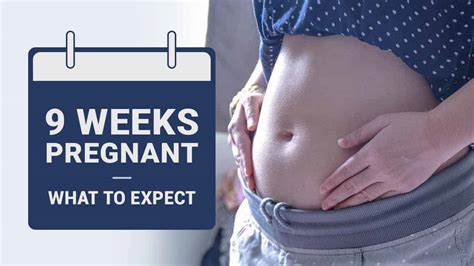 9 Weeks Pregnant - Symptoms, Baby Development, and Tips!