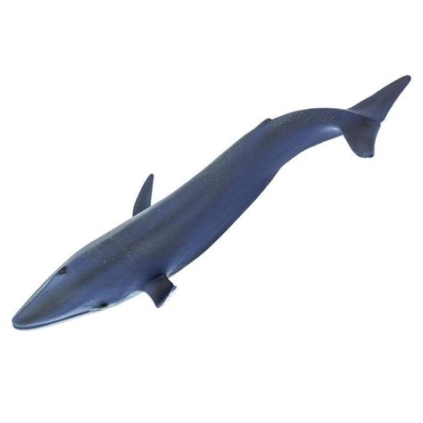 Blue Whale Toy | Sea Life | Safari Ltd®