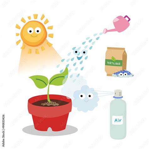 Vital needs of a plant. Plants need sunlight, fertilizer, air, and water. Stock Vector | Adobe Stock