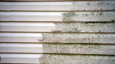 Exterior Mildew Doesn't Stand A Chance Against This Easy DIY Solution