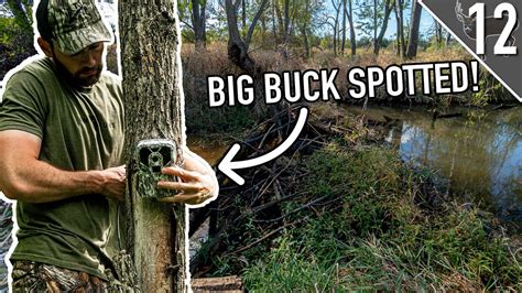 WE FOUND SOME BIG BUCKS!!! (TRAIL CAMERA SETUPS on PUBLIC LAND) - YouTube